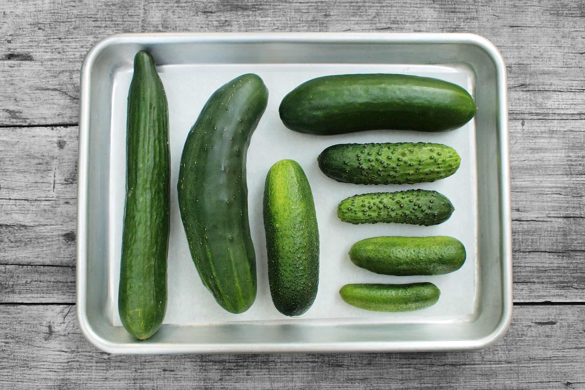 Jak dlouho vydrží salátová okurka v lednici?